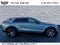 2024 Cadillac LYRIQ Luxury 1