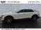 2024 Cadillac LYRIQ Luxury 1